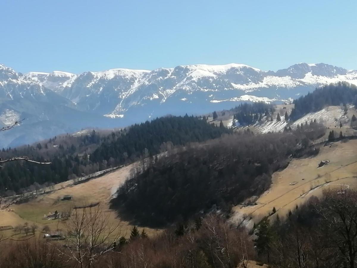 Lodge Casa Rustica Brasov