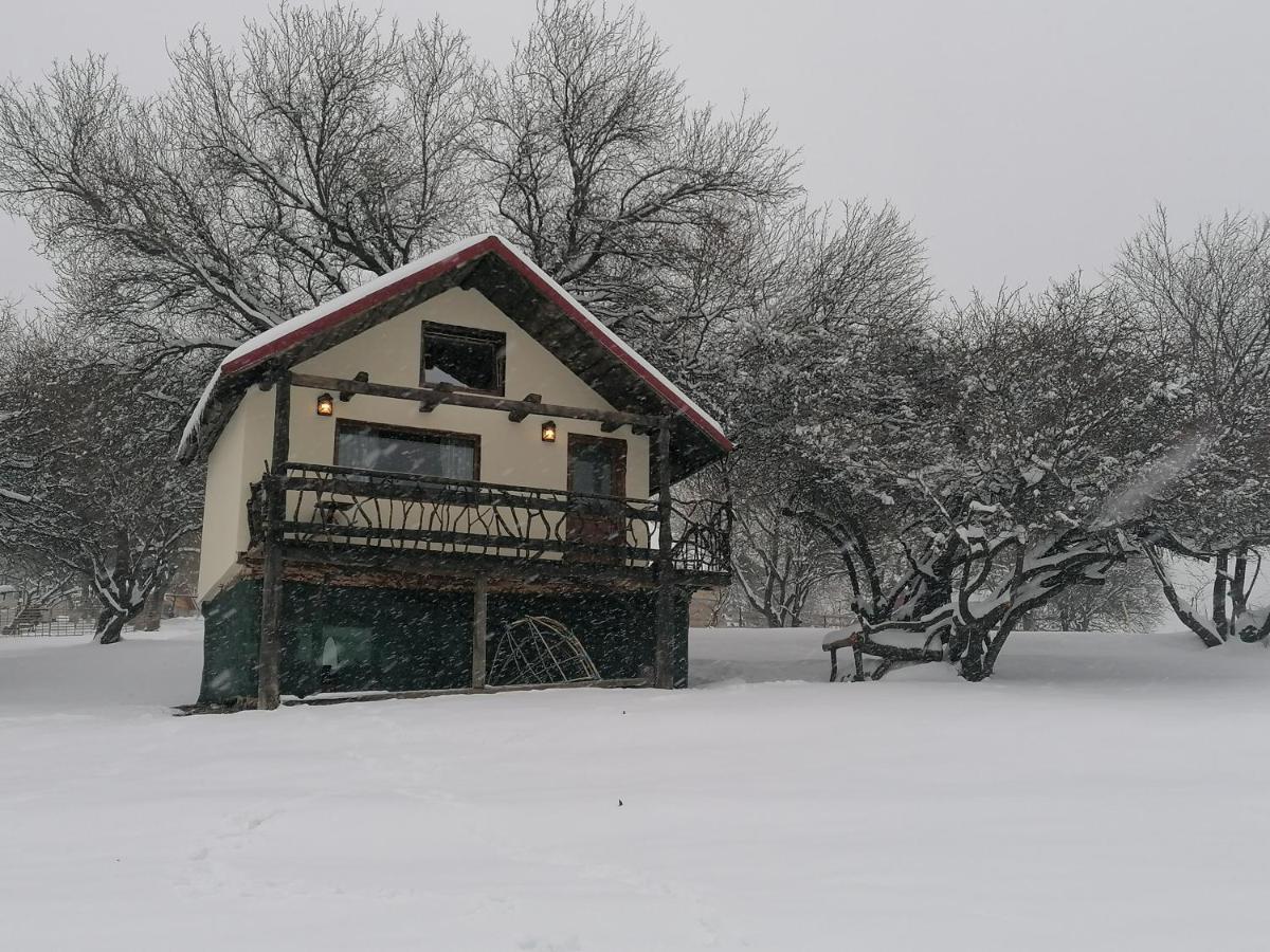 Lodge Casa Rustica *