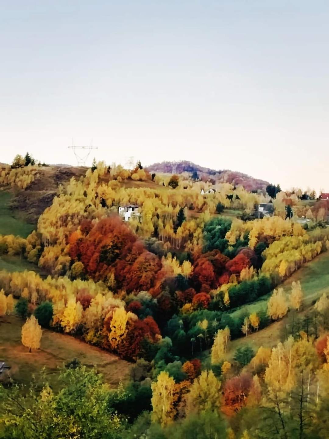 Casa Rustica Lodge Brasov