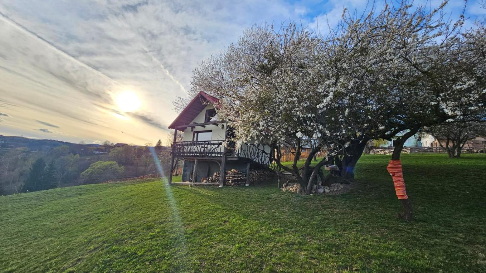 Casa Rustica *