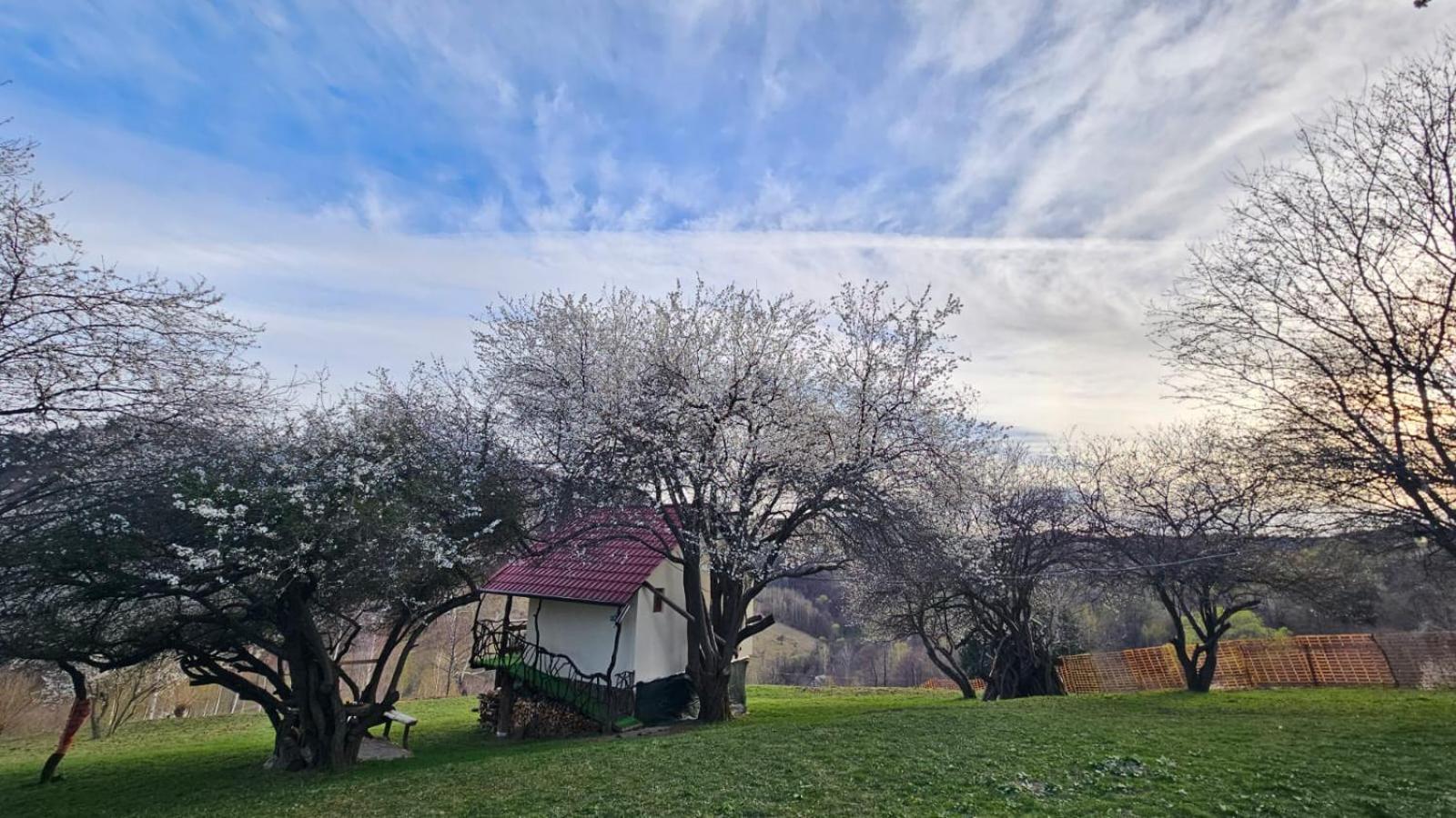 Casa Rustica * Brasov