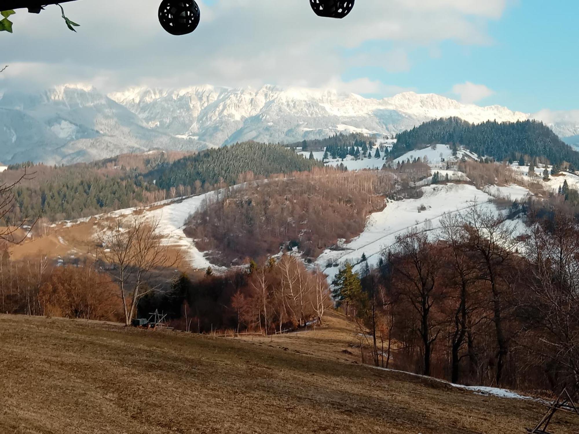 Casa Rustica Lodge Brasov